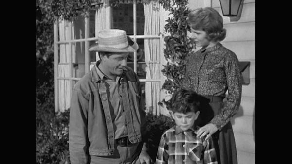 The Real McCoys - Pals