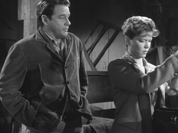 The Real McCoys - The Girl Veterinarian