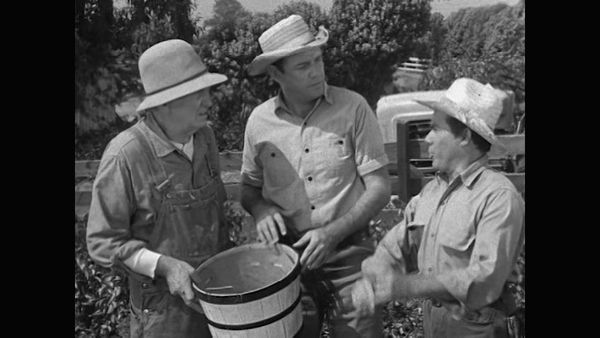 The Real McCoys - Pepino's Inheritance