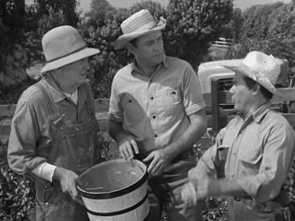 The Real McCoys - Pepino's Inheritance