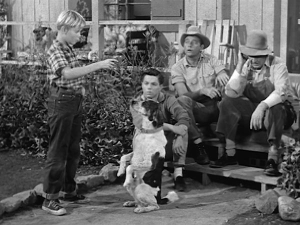 The Real McCoys - Leave It to the Girls