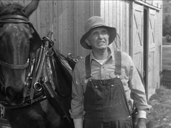 The Real McCoys - The Insurance Policy