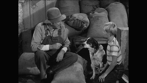 The Real McCoys - The New Dog