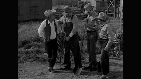 The Real McCoys - The New Well