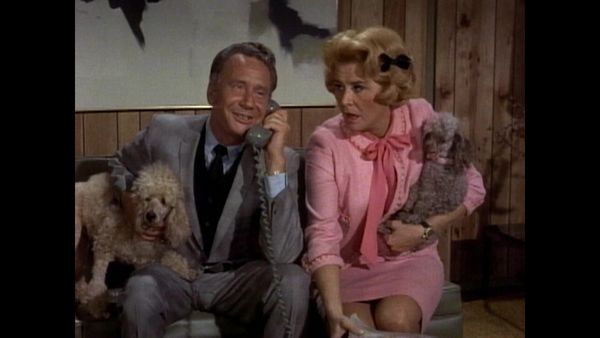 The Doris Day Show - Hot Dogs