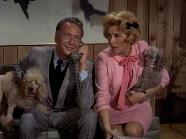 The Doris Day Show - Hot Dogs