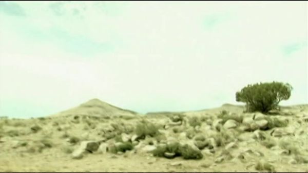 Caçadores de Óvnis - A Verdade Sobre Roswell