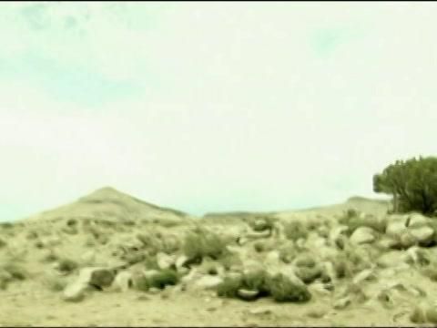 Caçadores de Óvnis - A Verdade Sobre Roswell