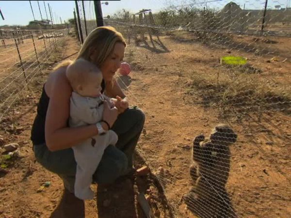 Orphelins de la nature - La famille s'agrandit