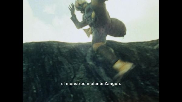 Black Kamen Rider - Sombra negra