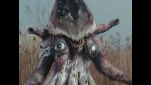 Black Kamen Rider - A Misteriosa Lana