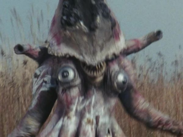 Black Kamen Rider - A Misteriosa Lana