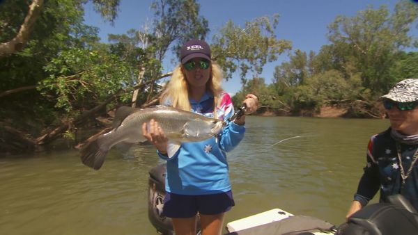 IFISH - Barramundi, Daly River and Cullen Bay, NT
