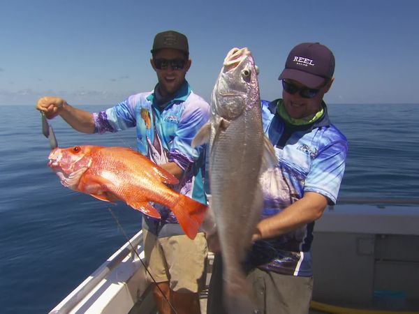 IFISH - Cullen Bay, Northern Territory