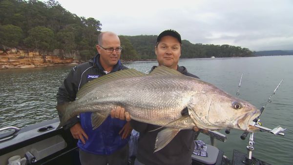 IFISH - Hawkesbury River, NSW