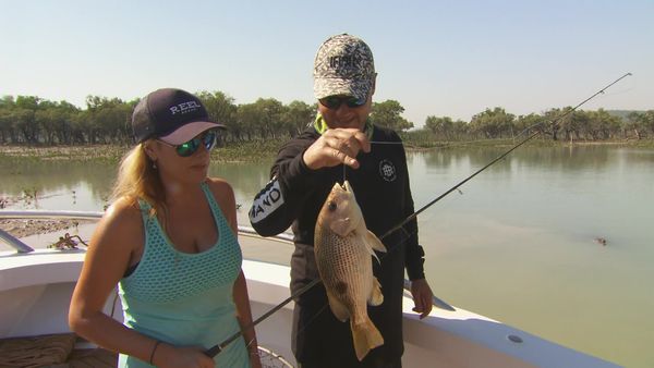 IFISH - Barramundi, Horizontal Falls, WA