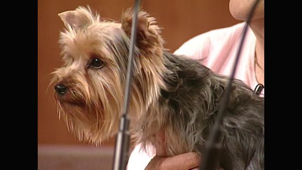 Judge Judy - Episode 44