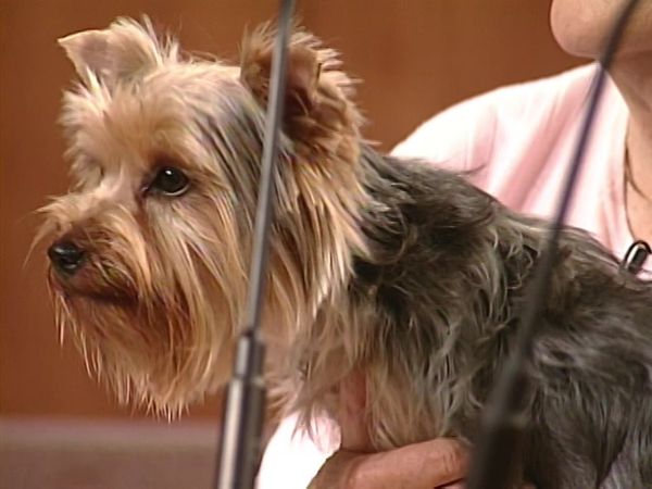 Judge Judy - Episode 44
