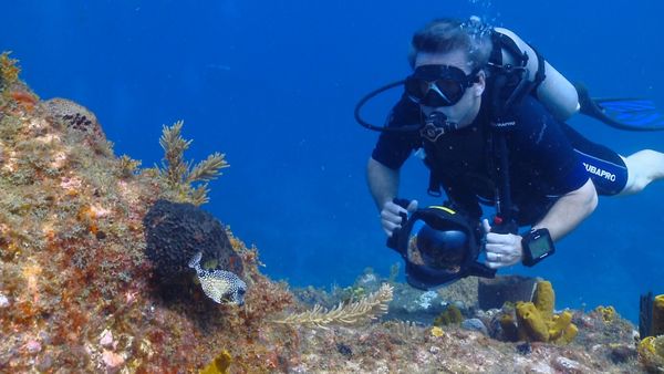 Into The Drink - Dominica Part 2