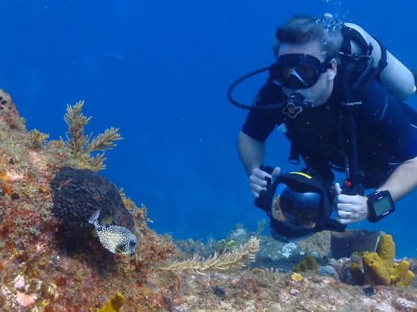 Into The Drink - Dominica Part 2