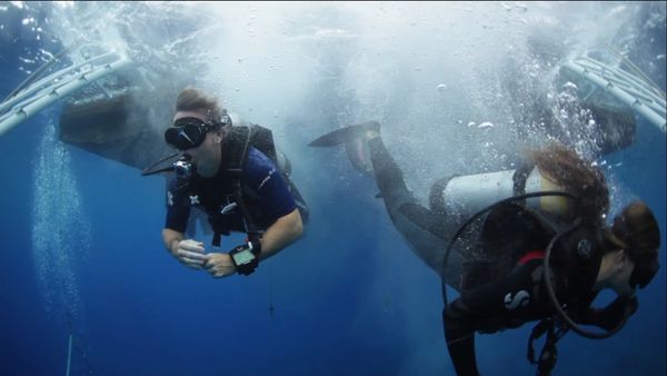 Into The Drink - St. Kitts/Saba