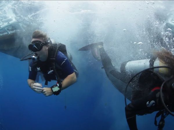 Into The Drink - St. Kitts/Saba