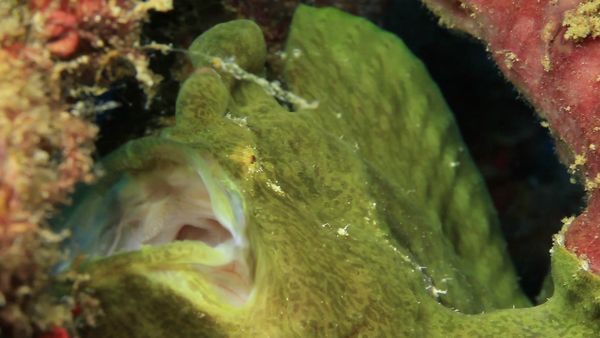 Into The Drink - Riviera Maya Part 2