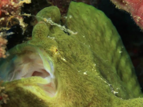Into The Drink - Riviera Maya Part 2