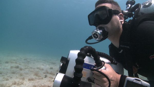 Into The Drink - St. Croix