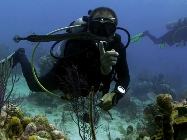 Into The Drink - Turks & Caicos Part 2
