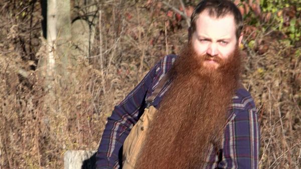 Whisker Wars - Don't Mess With Texas