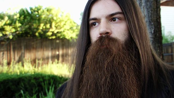 Whisker Wars - The Beard Circuit