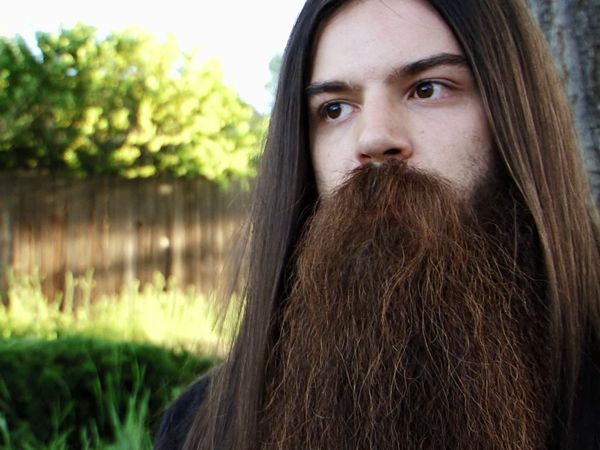 Whisker Wars - The Beard Circuit
