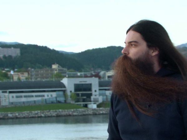 Whisker Wars - The German Masters