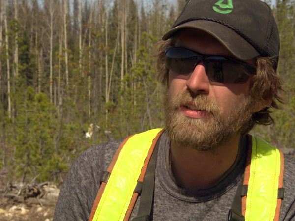 World's Toughest Jobs - Tree Planting