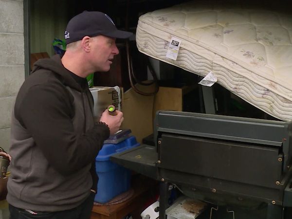 Storage Wars: Northern Treasures - The Birds And The Bees And The Bulls