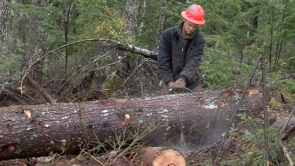 Ax Men - A Logger's Thanksgiving