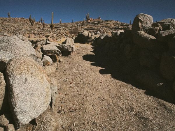 Tastil, la majestuosa y misteriosa - Tastil, la majestuosa ciudad del siglo XIV