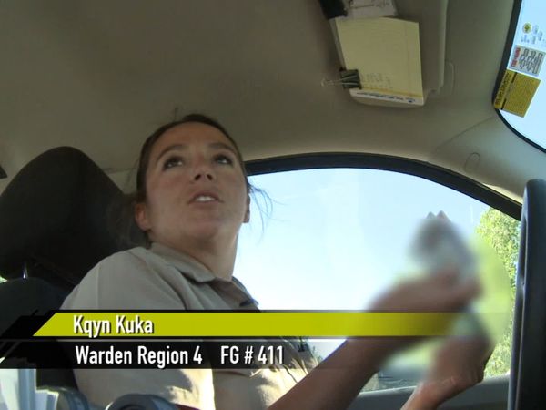 Wardens - Operation Litter Bug
