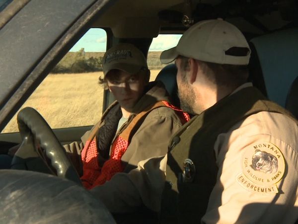 Wardens - Operation Wolf Creek