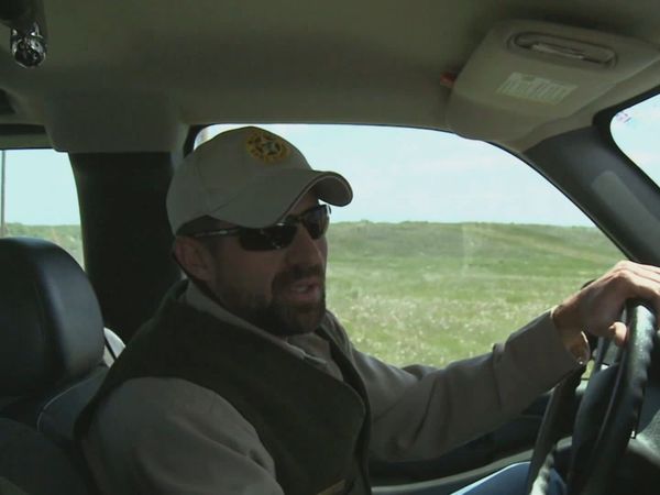 Wardens - Operation Paddlefish