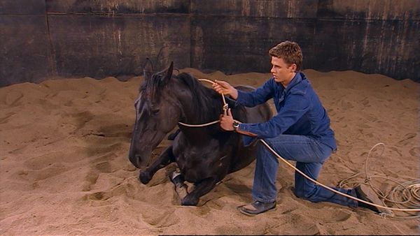 The Saddle Club - Foster Horse Part III