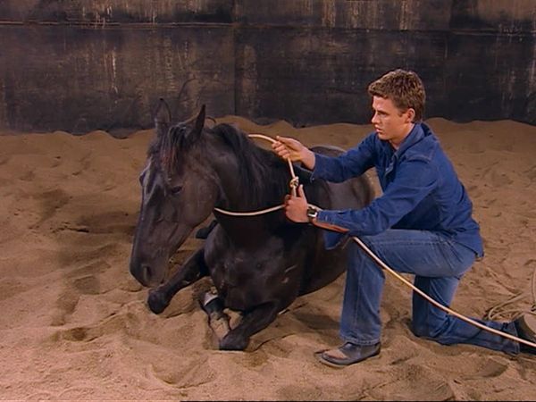 The Saddle Club - Foster Horse Part III