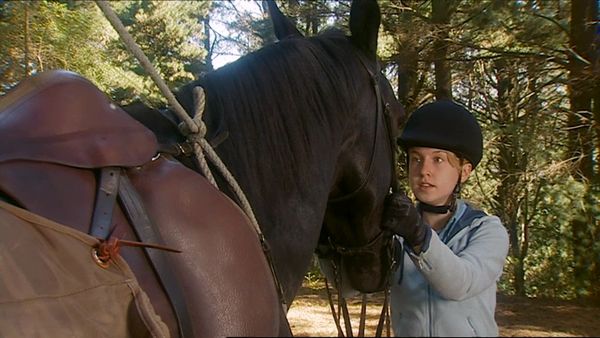 The Saddle Club - Fillies vs. Colts