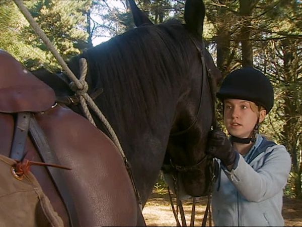The Saddle Club - Fillies vs. Colts