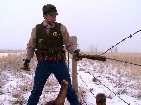 Wardens - Back Country