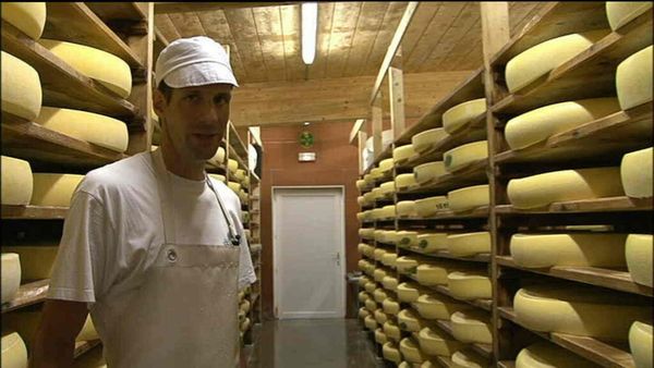 Épicerie Fine - Le comté