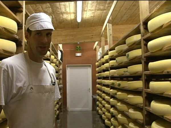 Épicerie Fine - Le comté