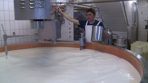 Épicerie Fine - La raclette du Valais