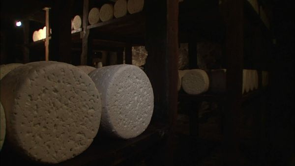 Épicerie Fine - Le roquefort
